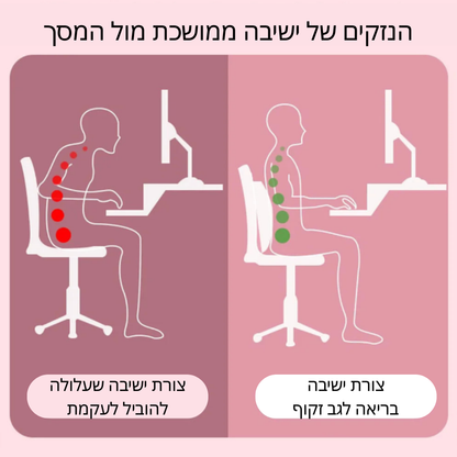 Back Stretcher | כרית אורטופדית